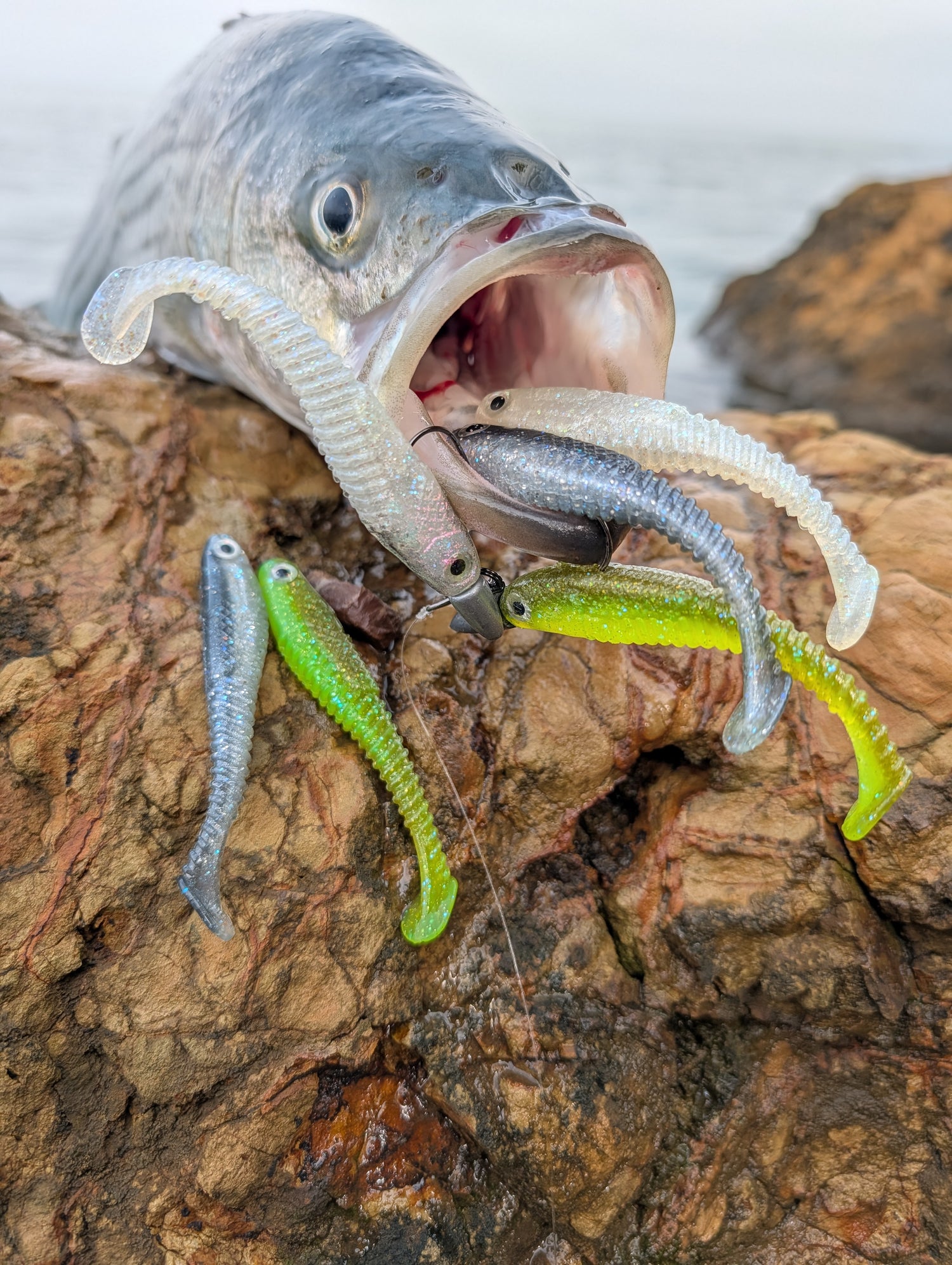 Hollowtip Series Swimbaits