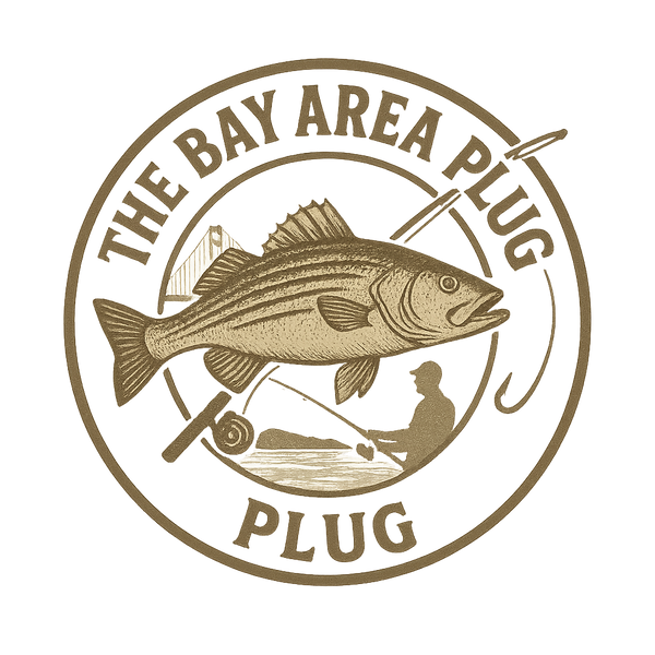 The Bay Area Plug