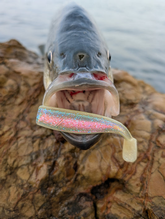 Ghost Plug Holographic 4" JackHammer Swimbait (2 Pack)