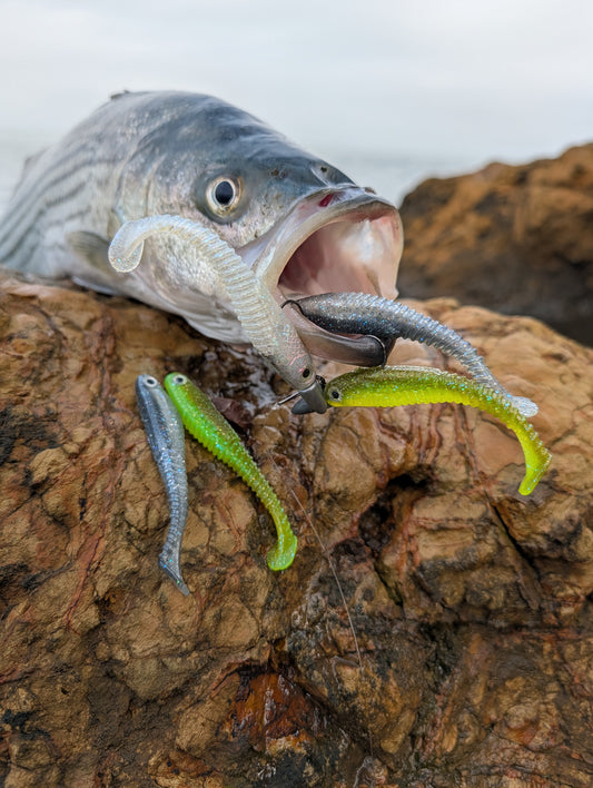 Hollow Tip (2 Pack) - Choose your color