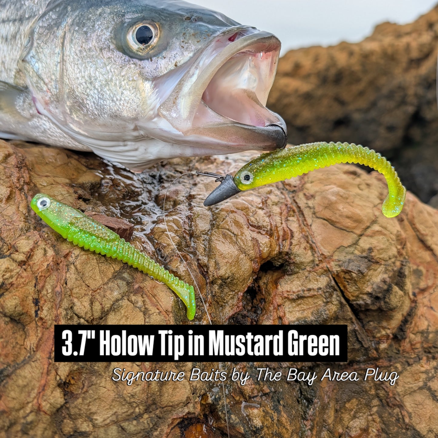 Hollow Tip (2 Pack) - Choose your color