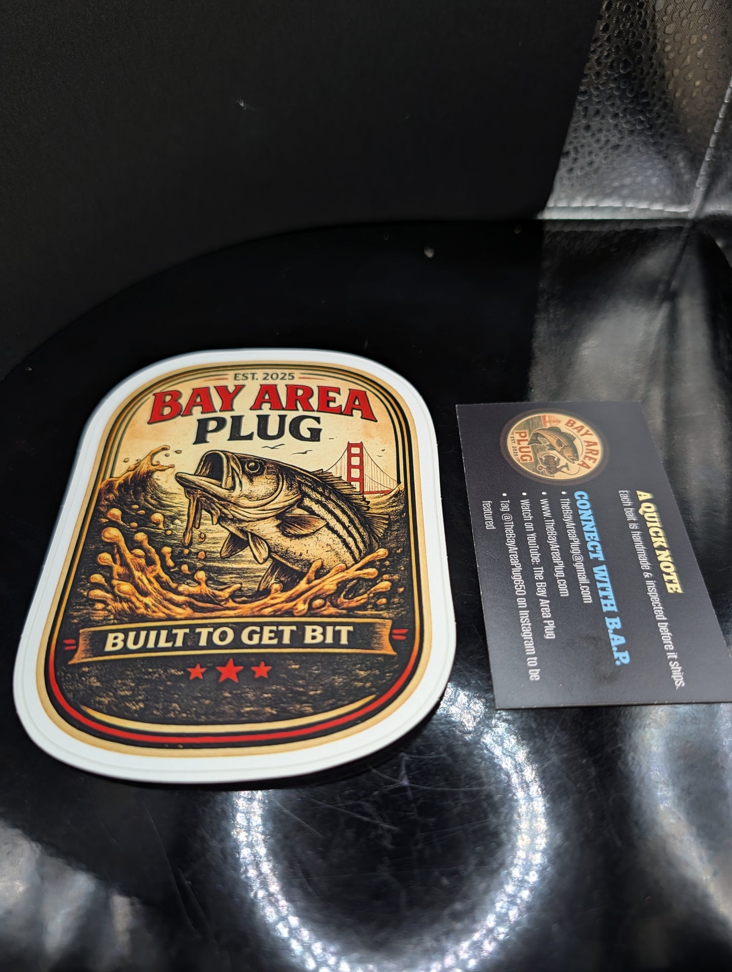 Bay Area Plug Die-Cut Sticker 5x3.25"